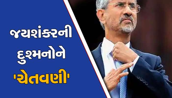 જયશંકરની પાકિસ્તાન-ચીનને 'ચેતવણી', ભારત પોતાની રક્ષા માટે કોઈ પણ હદ સુધી જઈ શકે છે