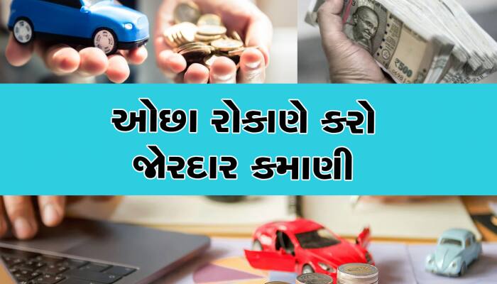 માત્ર 50,000 રૂપિયામાં શરૂ કરો આ સુપરહિટ બિઝનેસ, દર મહિને થશે લાખોની કમાણી