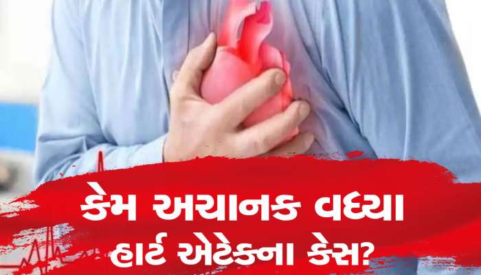 કેમ વધી રહ્યા છે હાર્ટ એટેકના કેસ? શું આદુ ખાવાથી ખાંસી-છીંક, હાર્ટ એટેક રોકી શકાય