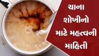 Tea Making Mistakes: ચા બનાવતી વખતે કરશો નહી ભૂલ, નહી વેઠવું પડશે મોટું નુકસાન