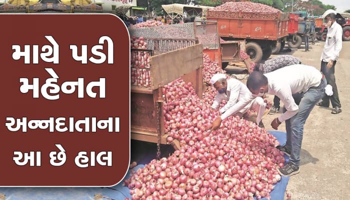 512 KG ડુંગળી વેચવા ખેડૂતે 70 Km અંતર કાપ્યું, મળ્યા 2 રૂ., ચેક જોઇ આંસુ સરી પડ્યા