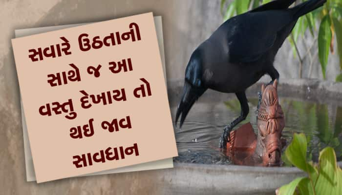 વહેલી સવારે કાગડાને જોવો કે સાંભળવો કઈ ઘટનાને આપે છે સંકેત, જાણો શુભ- અશુભ ઈશારા