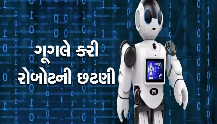 હે ભગવાન! હવે રોબોટની નોકરી પણ છીનવાઈ ગઈ, ગૂગલે તેને નોકરીમાંથી કાઢી મૂક્યો