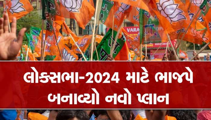 લોકસભા ચૂંટણીમાં ભાજપને સફળતા અપાવશે 'મહિલા મોર્ચો', પાર્ટીએ બનાવી રણનીતિ