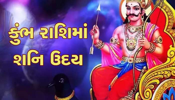 Shani Uday: શનિ ઉદય થઈને બનાવશે ધન રાજયોગ, આ જાતકોની નોકરી અને વેપારમાં થશે પ્રગતિ