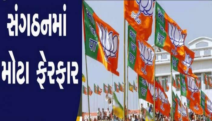 ભાજપના સંગઠનમાં મોટાપાયે ફેરફારઃ કેટલાંક જિલ્લા અને શહેર પ્રમુખ બદલાય તેવી સંભાવના