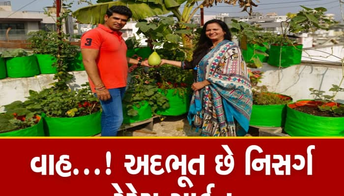 ખરેખર કમાલ કરી દીધી!સુરતના દંપતીએ આ રીતે હાઈજેનિક અને ઓર્ગેનિક ફ્રુટ-શાકભાજી ઉગાડ્યા