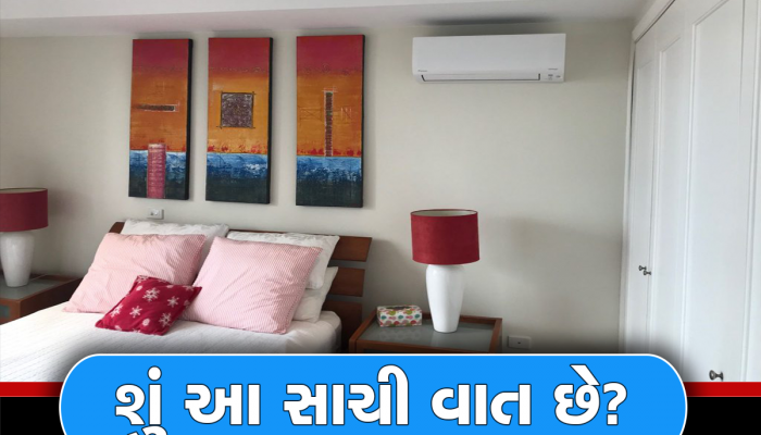 Electric Bill: AC સાથે પંખો ચલાવવાથી લાઇટબિલ ઓછું આવે છે? ખૂબ ઓછા લોકો જાણે છે જવાબ