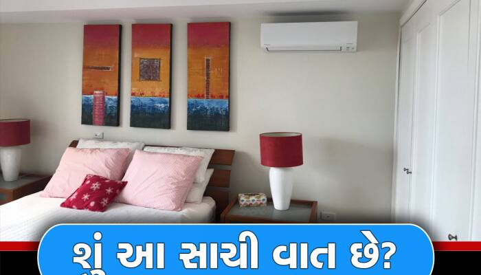 Electric Bill: AC સાથે પંખો ચલાવવાથી લાઇટબિલ ઓછું આવે છે? ખૂબ ઓછા લોકો જાણે છે જવાબ