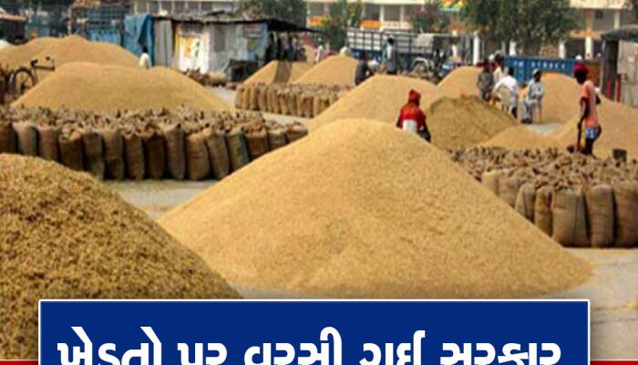 ગુજરાતમાં પ્રથમવાર ઘઉંની સાથે આ ઉનાળુ પાકોની થશે ખરીદી, સરકારે આ કારણે લીધો નિર્ણય