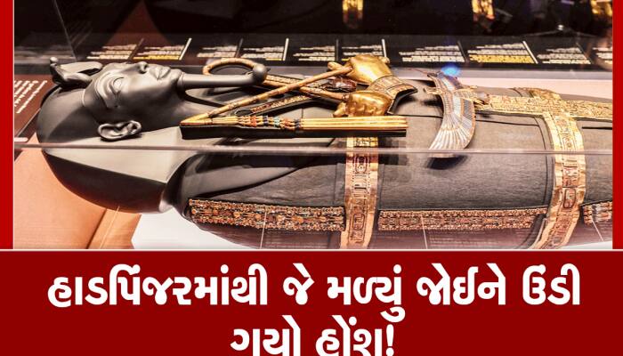 OMG! આર્મેનિયામાં 3200 વર્ષ જૂની કબરમાંથી એવું મળ્યું કે ખોદનારા થઈ ગયા માલામાલ