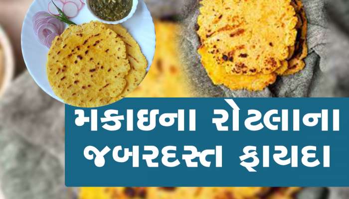 મકાઇનો દેશી રોટલો ખાશો તો કદી નહી આવે ખાટલો, બીપીવાળાને થશે બઉં બેનિફિટ