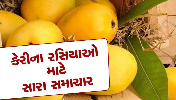 આ દિવસથી માર્કેટમાં કેરી જ કેરી જોવા મળશે, ખુશ થઈ જાઓ તેવા સમાચાર જુનાગઢથી આવ્યા