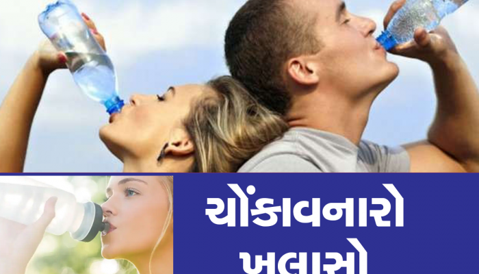 Plastic Bottles: પ્લાસ્ટિકની બોટલમાંથી ગટાગટ પાણી પીતા હોવ તો સાવધાન! આ વાંચીને તમારા હોશ ઉડી જશે