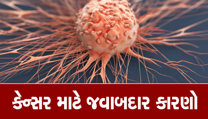 આ 4 વસ્તુઓ કેન્સરન સેલ્સને વધારવાનું કામ કરે છે, જાણો કેન્સરને રોકવાના પ્રયાસ