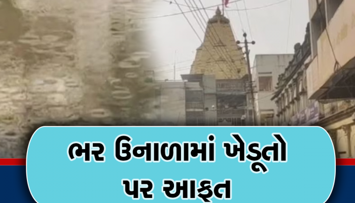 યાત્રાધામ અંબાજીમાં મેઘો ત્રાટક્યો; ગુજરાતના આ વિસ્તારોમાં આગામી 3 દિવસ છે મહાખતરો!