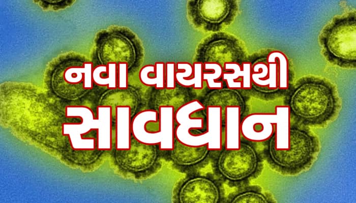 ચેતવણી : ગુજરાતમાં નવા વાયરસની એન્ટ્રી, અચાનક કેસ વધતા IMA એ આપ્યું આ એલર્ટ