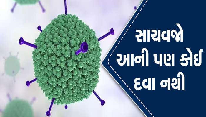 નવા વાયરસથી હડકંપ! લક્ષણો બિલકુલ કોરોના જેવા છે, આ ભૂલો ઘરે લાવશે બિમારી!