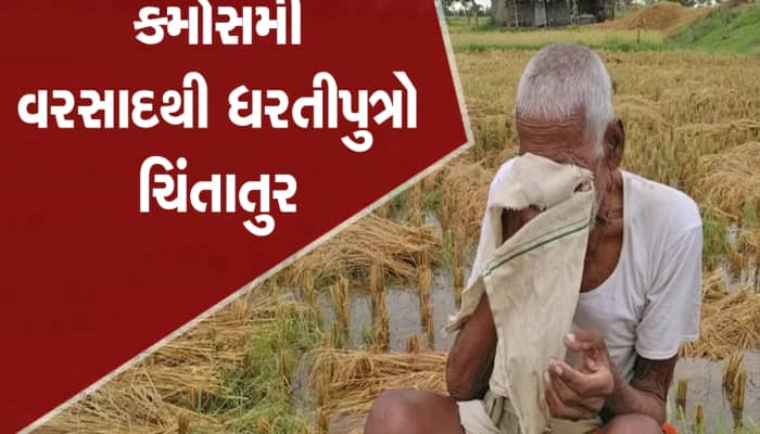 ગુજરાતના કેટલાંક વિસ્તારોમાં કડાકા-ભડાકા સાથે વરસાદની એન્ટ્રી, ખેડૂતો ચિંતિત