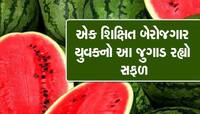 ગુજરાતના ખેડૂતે આ ખાસ પદ્ધતિથી ઉગાડ્યા તરબૂચ, માત્ર ત્રણ જ મહિનામાં લાખોની કમાણી