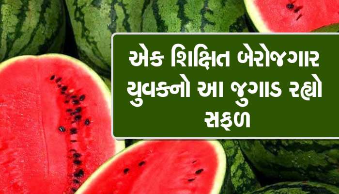 ગુજરાતના ખેડૂતે આ ખાસ પદ્ધતિથી ઉગાડ્યા તરબૂચ, માત્ર ત્રણ જ મહિનામાં લાખોની કમાણી