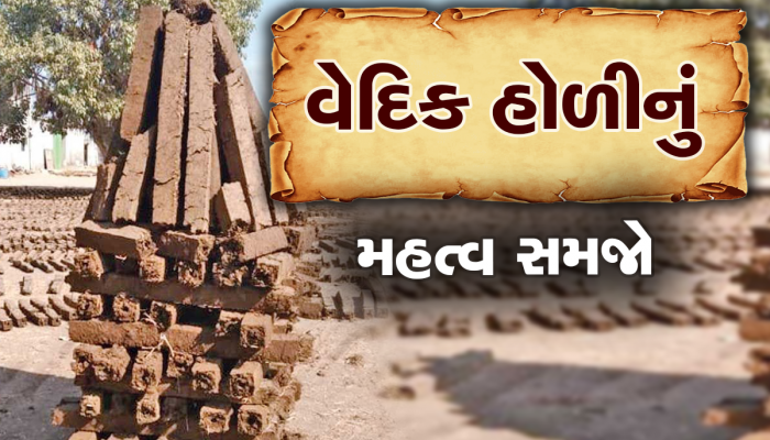 આ વસ્તુઓ નાંખીને પ્રગટાવો વૈદિક હોળી, આખું વર્ષ ક્યારેય બીમાર નહિ પડો 