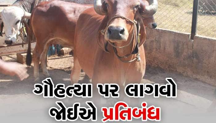 Cow Slaughter: અલ્હાબાદ હાઈકોર્ટના મુસ્લિમ જજે કહ્યું- ગૌહત્યા પર પ્રતિબંધ હોવો જોઈએ
