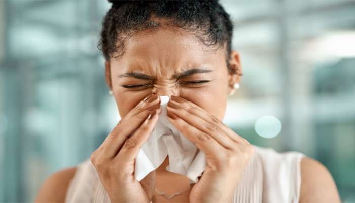 Sneezing: સારા કામ પહેલાં જ છીંક આવવી શુભ કે અશુભ ? જાણો શું છે છીંકનો મતલબ 