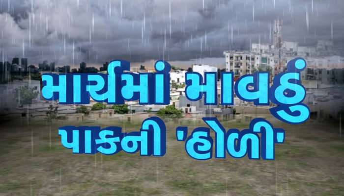 ગુજરાતના 56 જિલ્લામાં આફત, કમોસમી વરસાદથી ખેડૂતોના મુખે આવેલો કોળિયો છીનવાયો! 