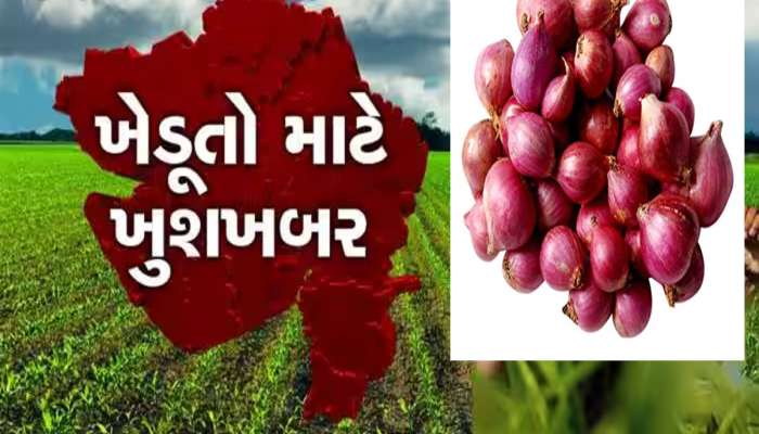 Big News : ડુંગળી-બટાકા પકવતા ખેડૂતો માટે ગુજરાત સરકારે મોટી સહાય જાહેર કરી