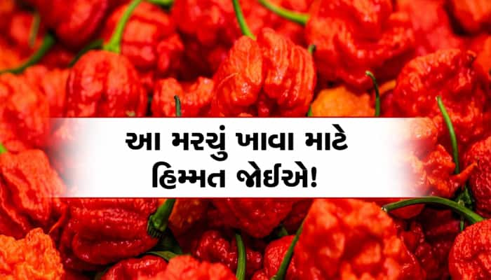 જાનલેવા છે આ મરચું! અડતા જ લાગે છે કરંટ, મોંઢામાં મુકતા જ હલી જાય છે મગજના તાર