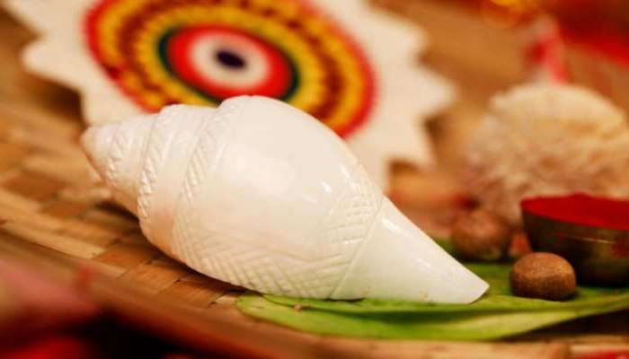 ઘરમાં રાખી શકાય છે આ ત્રણ પ્રકારના શંખ, નિયમિત પૂજા કરવાથી વધશે સુખ-સમૃદ્ધિ અને રોગોથી મળશે મુક્તિ