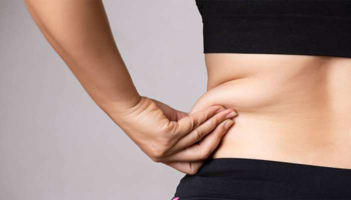 ફ્રીઝરની બહાર બરફ ઓગળે એમ ઓગળી જશે Belly Fat, આ છે સૌથી અસરકારક ઉપાય
