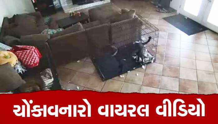 Viral Video: સીસીટીવી ફૂટેજમાં જોવા મળ્યું 'ભૂત', કાચાપોચા હ્રદયના મહેરબાની કરીને ન જોતા 