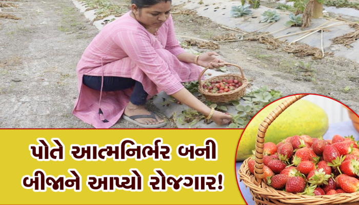 જામનગરના જીજ્ઞાબેન નર્સરી બિઝનેસમાં કરે છે મહિને 3 લાખની કમાણી, બીજા લોકોને આપ્યો રોજગાર