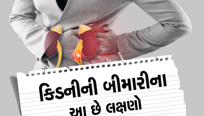 કિડનીમાં સમસ્યા હોય ત્યારે શરીર આપે છે આ સંકેતો, અવગણશો તો મુશ્કેલીમાં મૂકાશો