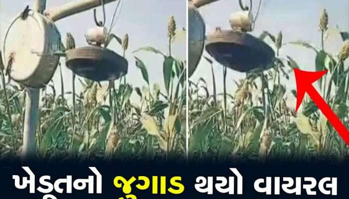 ખેડૂતે પાક બચાવવા માટે ખેતરમાં કર્યો એવો જુગાડ, ટ્રિક થઈ વાયરલ