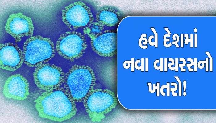 H3N2 વાયરસ કોરોના જેટલો ખતરનાક, ડોક્ટરોએ કહ્યું- થઈ જાવ સાવધાન