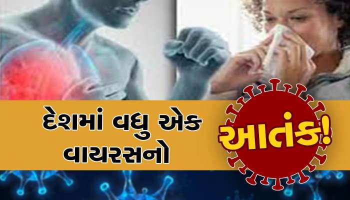 કોરોના બાદ H3N2 વાયરસનો કહેર; બે દર્દીના મોત, જાણો એક્સપર્ટ્સ પાસેથી કોને છે ખતરો