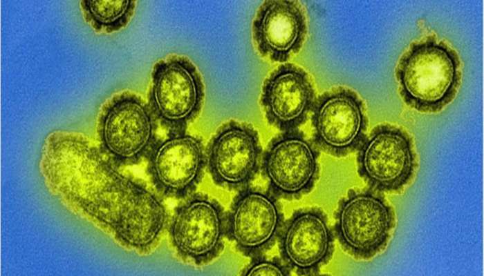 H3N2 virus થી સાવધાન, આ લક્ષણો દેખાય તો તરત ડોક્ટર પાસે ભાગીને જજો