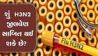 કેટલો જીવલેણ છે H3N2? શું વેક્સીનથી બચી શકે છે જીવ, જોવા મળે છે આ લક્ષણ