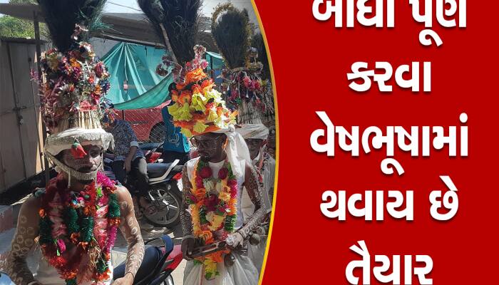 ગુજરાતનો આ મેળો છે વિશ્વ વિખ્યાત; જાણો આદિવાસી સંસ્કૃતિને ઉજાગર કરતા મેળાનું મહત્વ