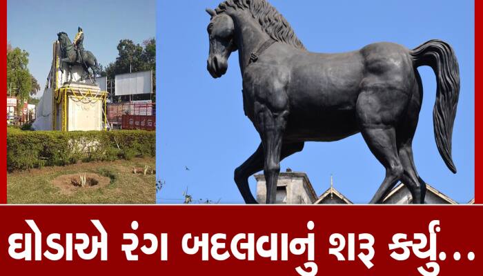 રંગ બદલતો ઘોડો : વડોદરામાં વર્ષોથી ઉભેલો કાળો ઘોડો કાળની થપાટ ઝીલીને લીલો થઈ ગયો 