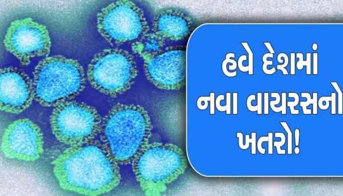 ગુજરાતનું આરોગ્ય વિભાગ એક્શનમાં, H3N2 વાયરસ અંગે ઋષિકેશ પટેલનું મોટું નિવેદન