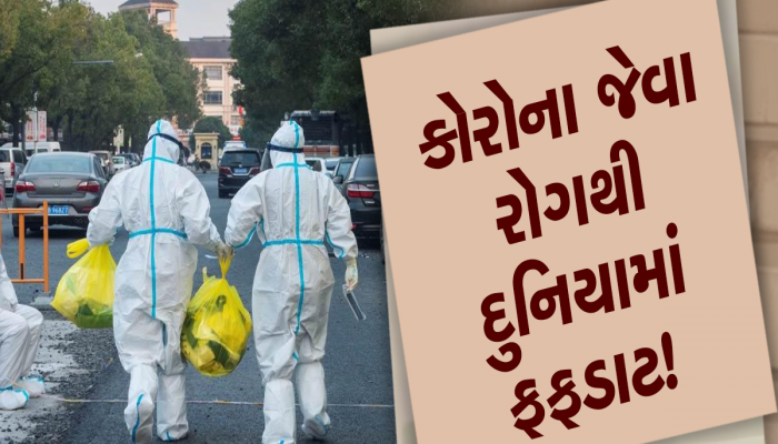 ચીનમાં ફરી લોકડાઉન! આ ખતરનાક બીમારીથી ફફડ્યું  'ડ્રેગન', સોશિયલ મીડિયા પર યુઝર્સ ભડક્યા