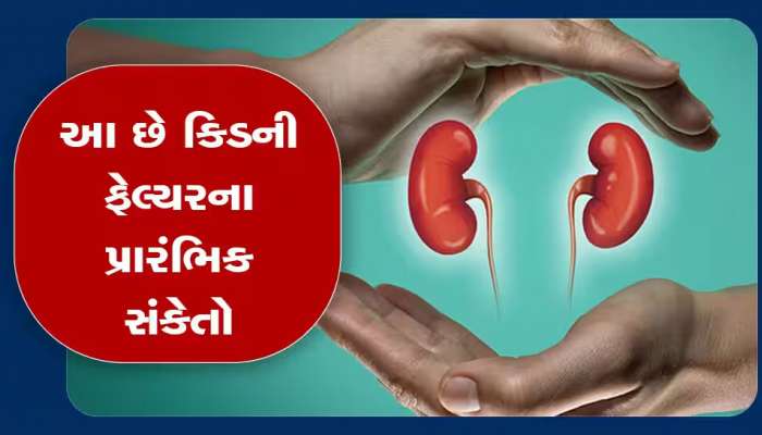 ભારતીયોમાં કેમ ઝડપથી ફેલાઈ રહી છે કિડનીની બિમારી? જાણો કિડની કમજોર પડવાના કારણો