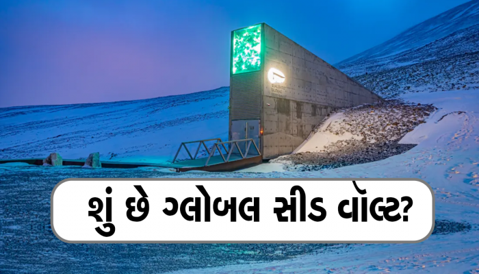Svalbard Global Seed Vault: આ તિજોરીમાં જમા છે દુનિયાનો સૌથી મોટો ખજાનો