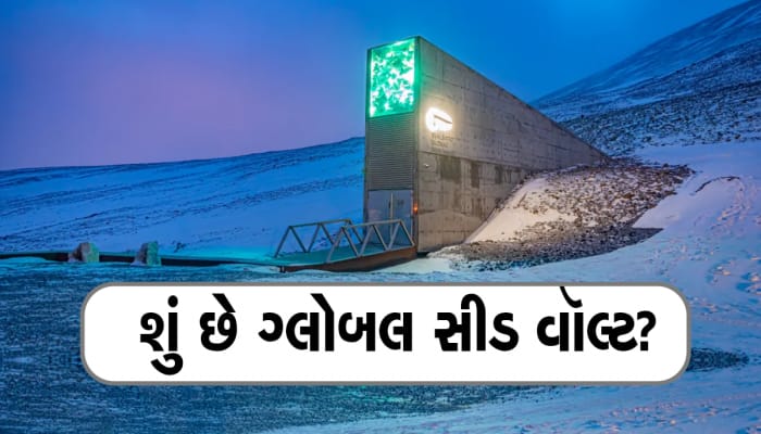 Svalbard Global Seed Vault: આ તિજોરીમાં જમા છે દુનિયાનો સૌથી મોટો ખજાનો