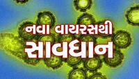 શું ગુજરાતમાં કોરોનાની જેમ H3N2 વાયરસ 'મોતનું તાંડવ' કરશે? અ'વાદમાં સૌથી વધુ કેસ