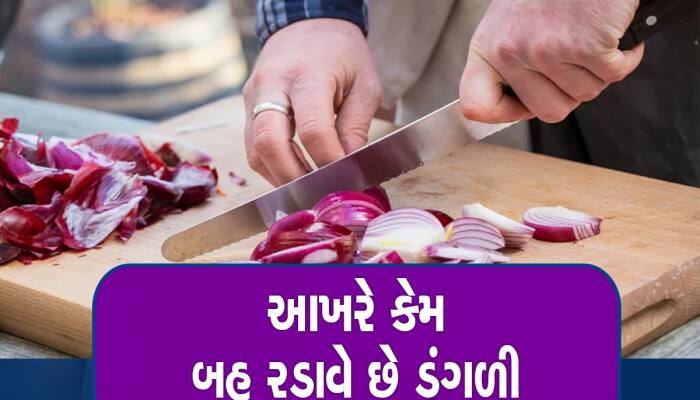 ડુંગળી કાપતી વખતે ભલભલાની આંખમાંથી નિકળવા લાગે છે આંસુ! ચોંકાવનારું છે કારણ